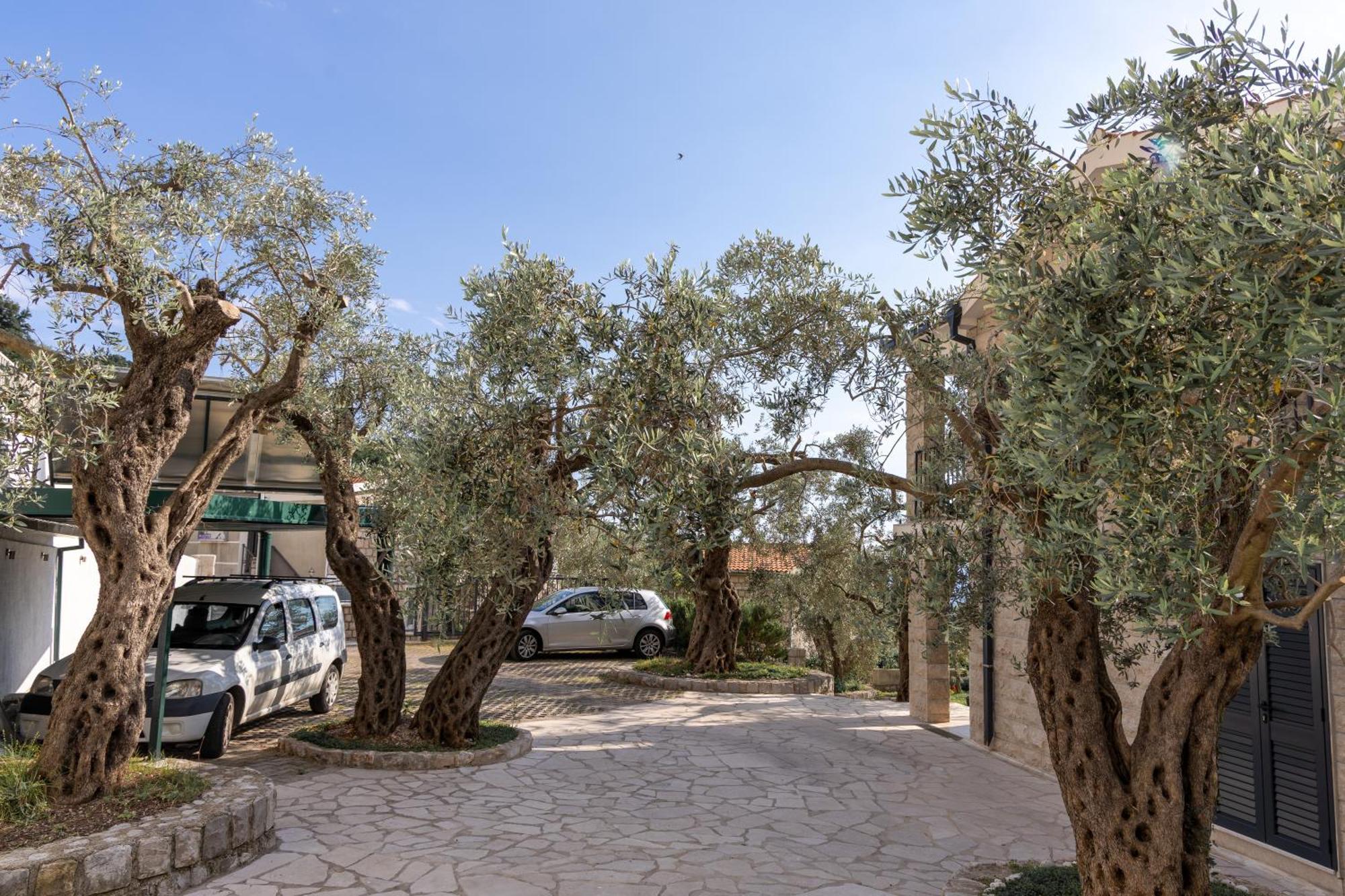 Residence Vukovic, Rezevici Εξωτερικό φωτογραφία